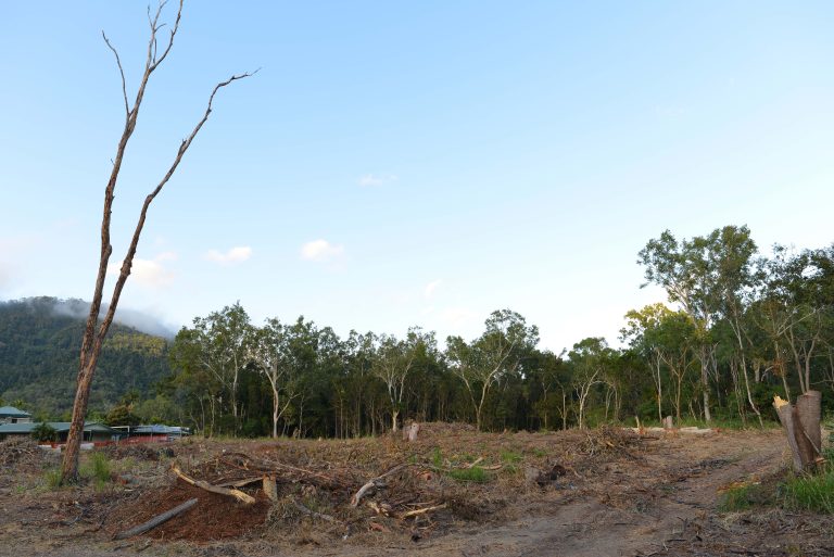 Trees cleared as Ergon expansion continues